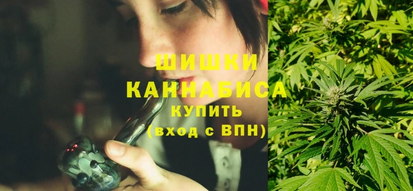 PSILOCYBIN Балабаново