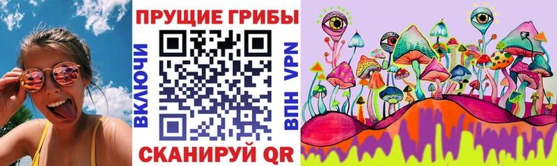 Псилоцибиновые грибы Psilocybine cubensis  KRAKEN рабочий сайт  Красноуфимск 